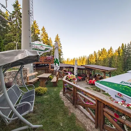 Complex Kamelia 4* Παμπόροβο