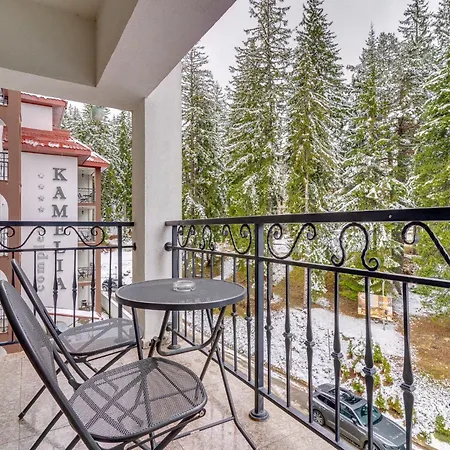 Apart-hotel Complex Kamelia