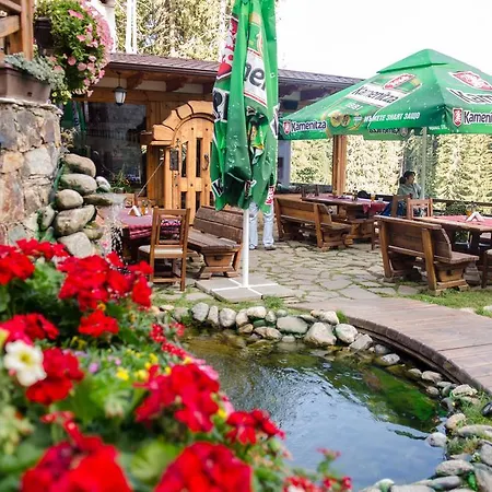 Complex Kamelia Aparthotel 4*