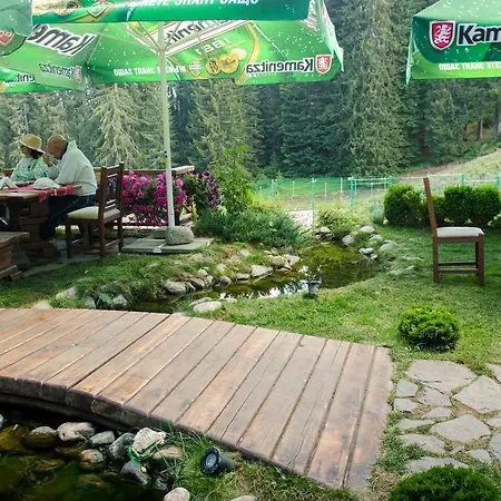 Complex Kamelia 4* Pamporovo