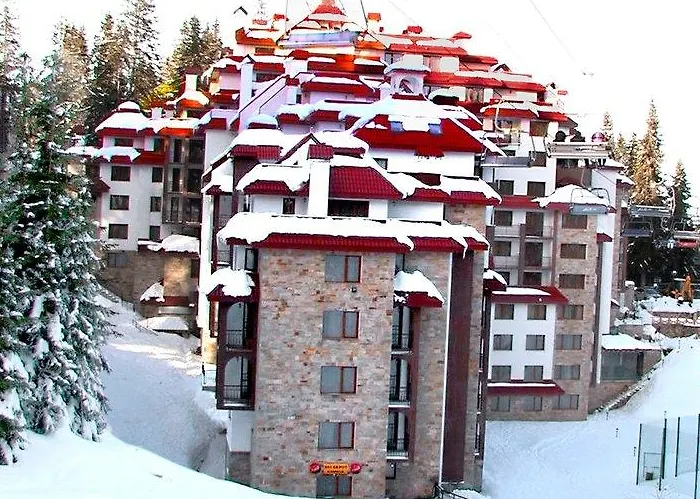 Complex Kamelia 팜포로보