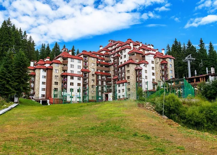 Complex Kamelia 팜포로보