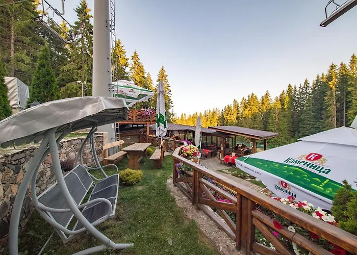 Complex Kamelia 4* 팜포로보