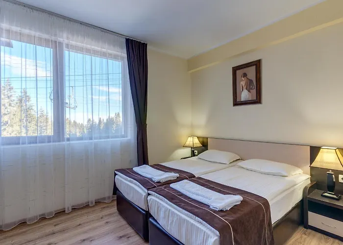 Complex Kamelia 팜포로보