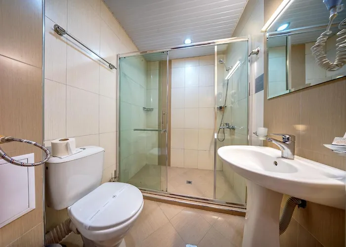 Complex Kamelia パンポロボ