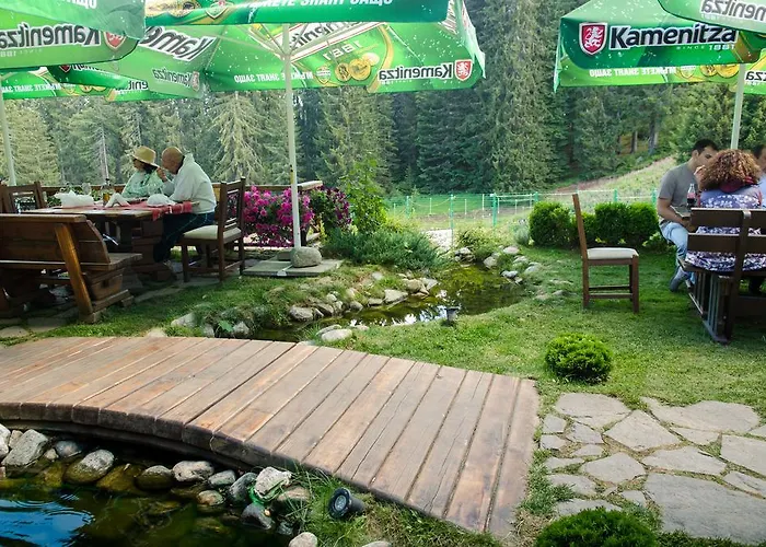 Complex Kamelia 4* 팜포로보