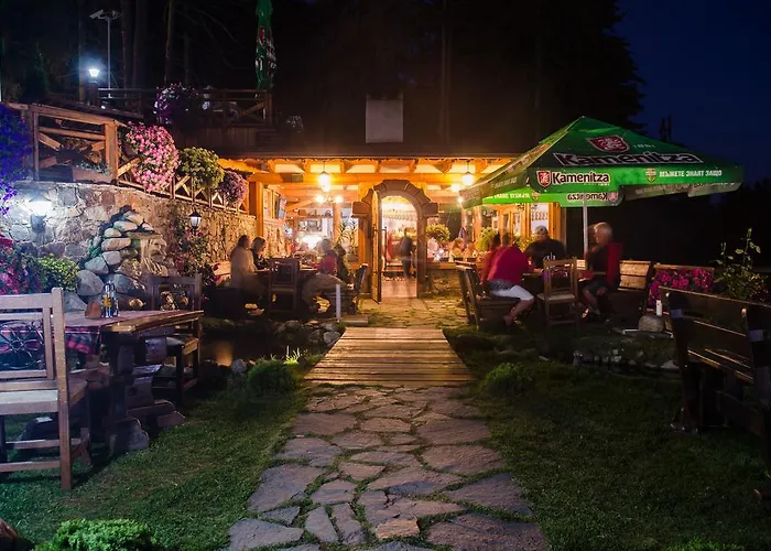 Complex Kamelia 팜포로보