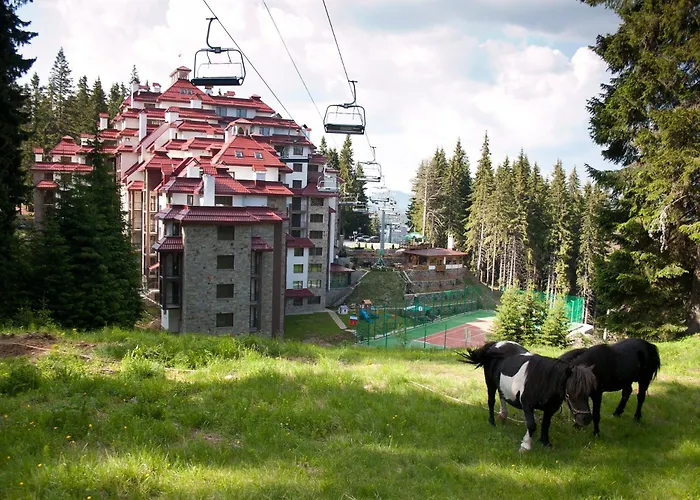 Complex Kamelia 아파트호텔 팜포로보